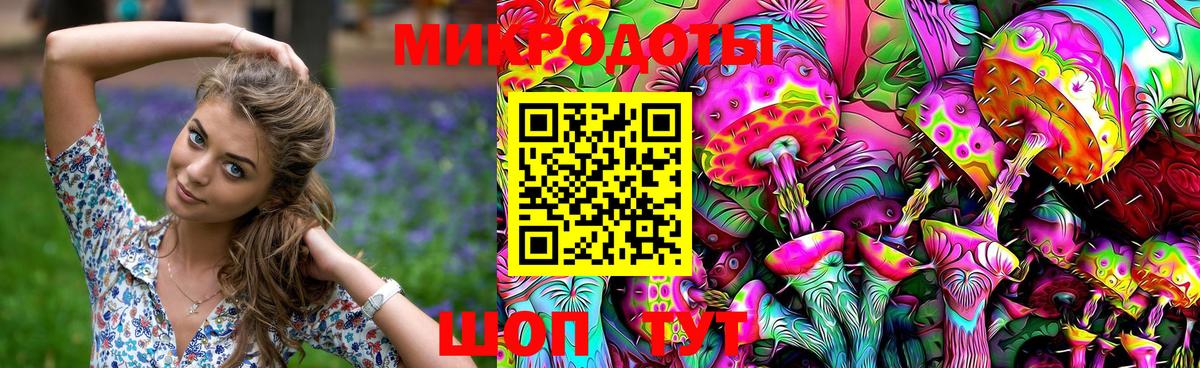 Псилоцибиновые грибы Cubensis Нижневартовск