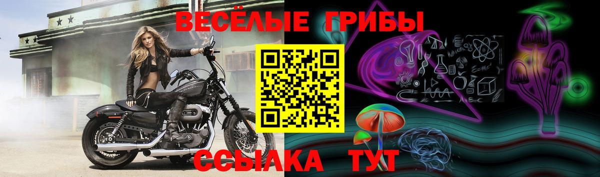 Галлюциногенные грибы Cubensis  Вход с VPN  Псилоцибиновые грибы MAGIC MUSHROOMS  Нижневартовск 
